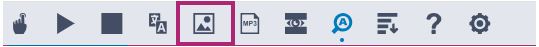 Picture dictionary icon on the ReachDeck toolbar